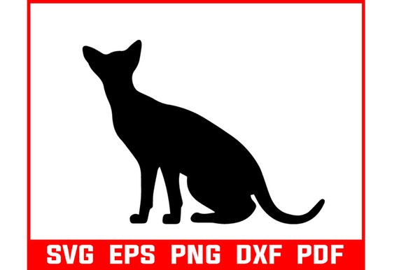 Black Cat Bundle Svg Review
