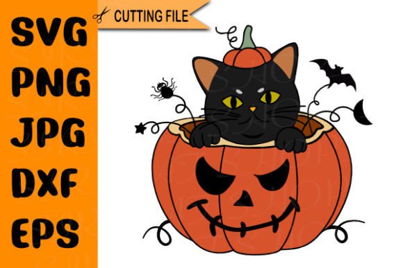 Black Cat Pumpkin